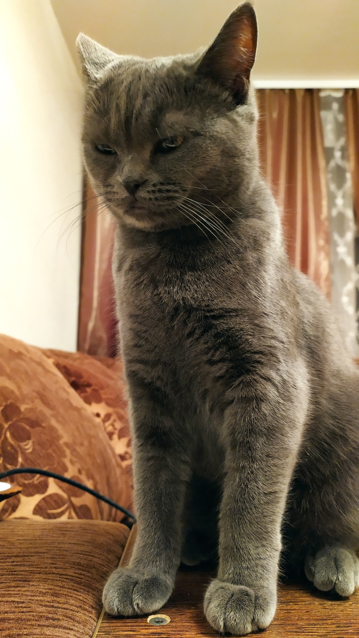 Да ну этот ваш понедельник