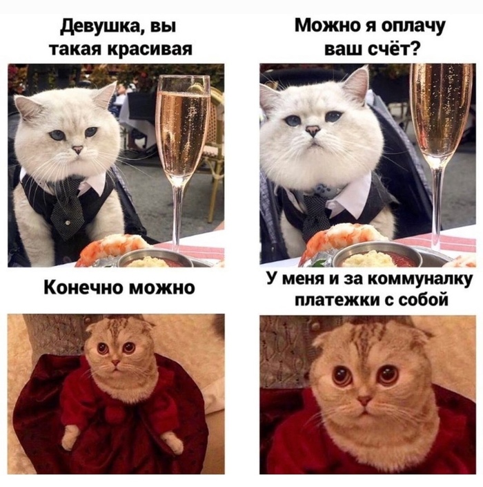   ,   , 