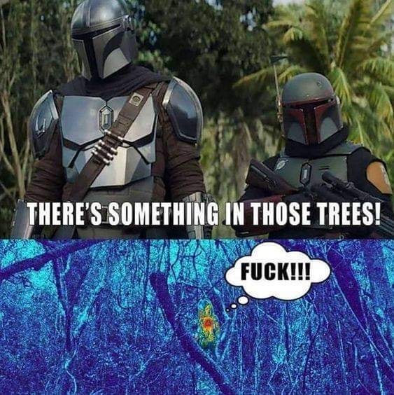 Там что-то в деревьях!