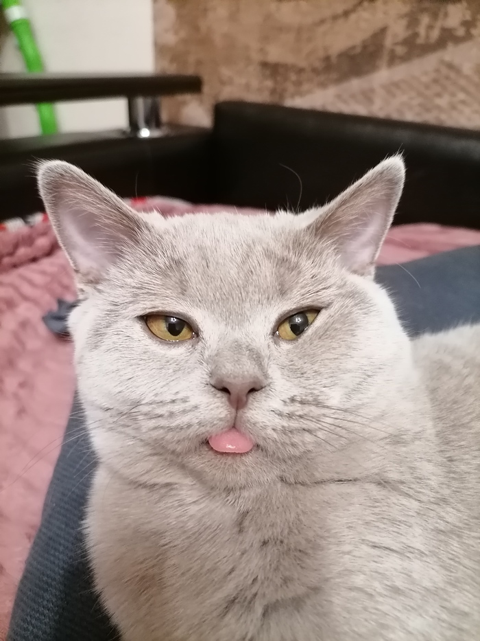 ��� �� ������? ��� ����� ���, �����