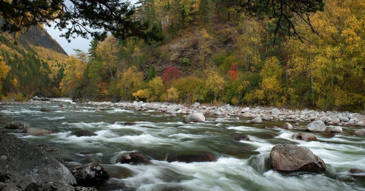 Алтайский заповедник водопад Кокши