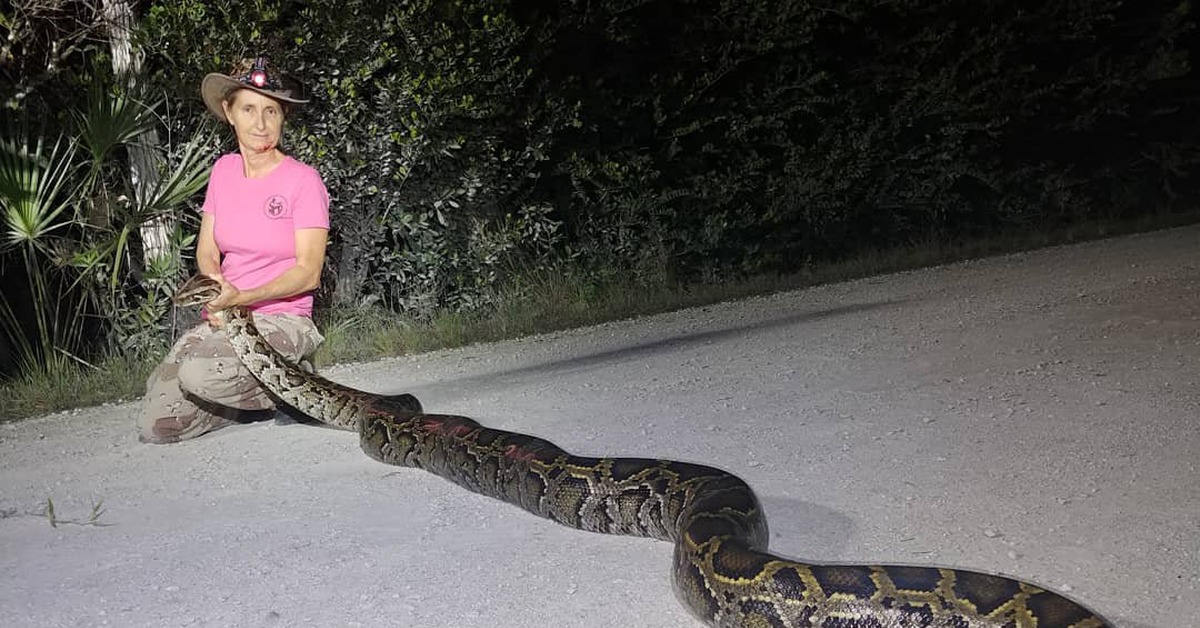 Самый большой змей в мире фото. Питон 10 метров. Самая большая Анаконда 41м.