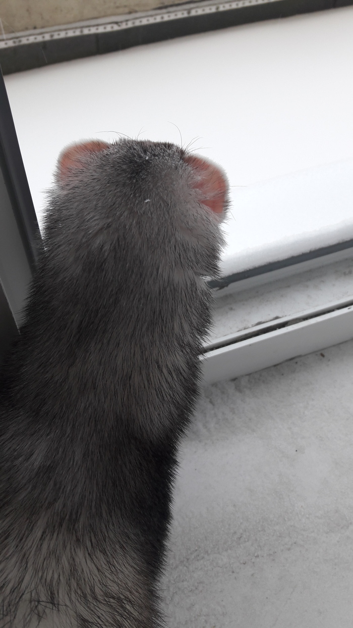 Там холодно, не пойду