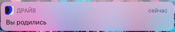 � ���� ��������