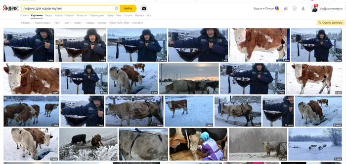    &quot;   - 50-     &quot;