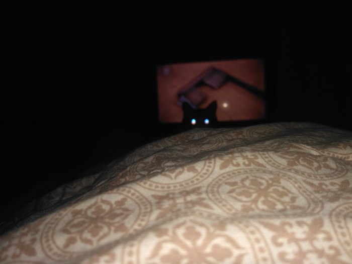 Спокойной ночи