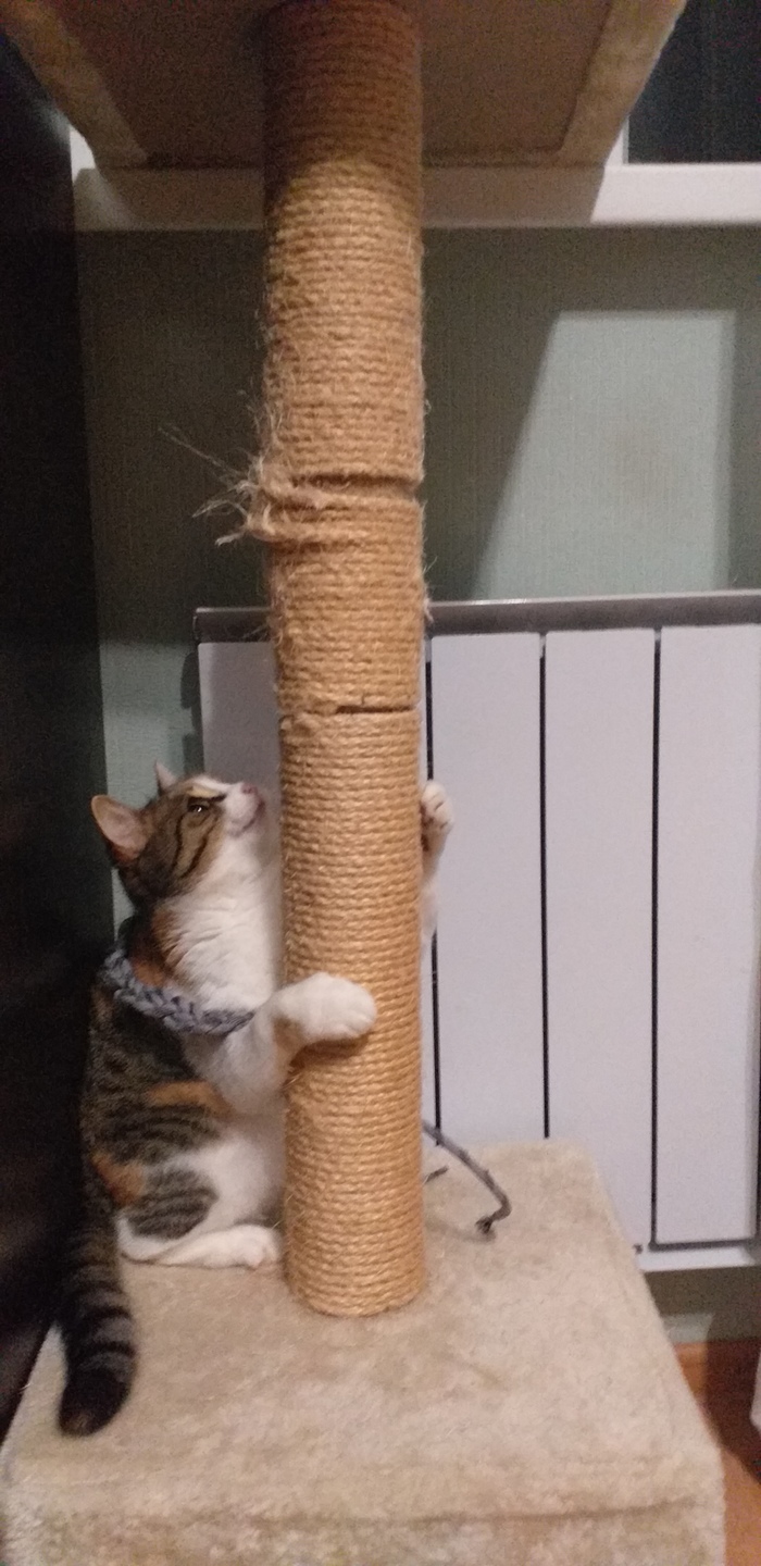 "Не уродился"