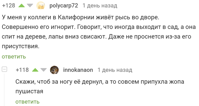 ���� ��������