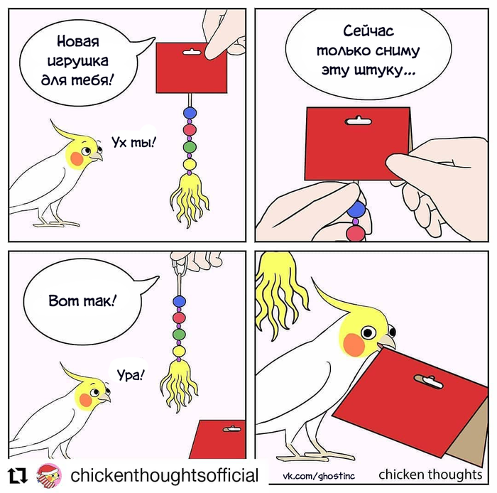  ,  , Chicken thoughts, 