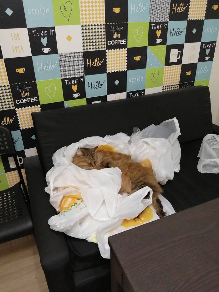 Как сделать коробку макдональдс