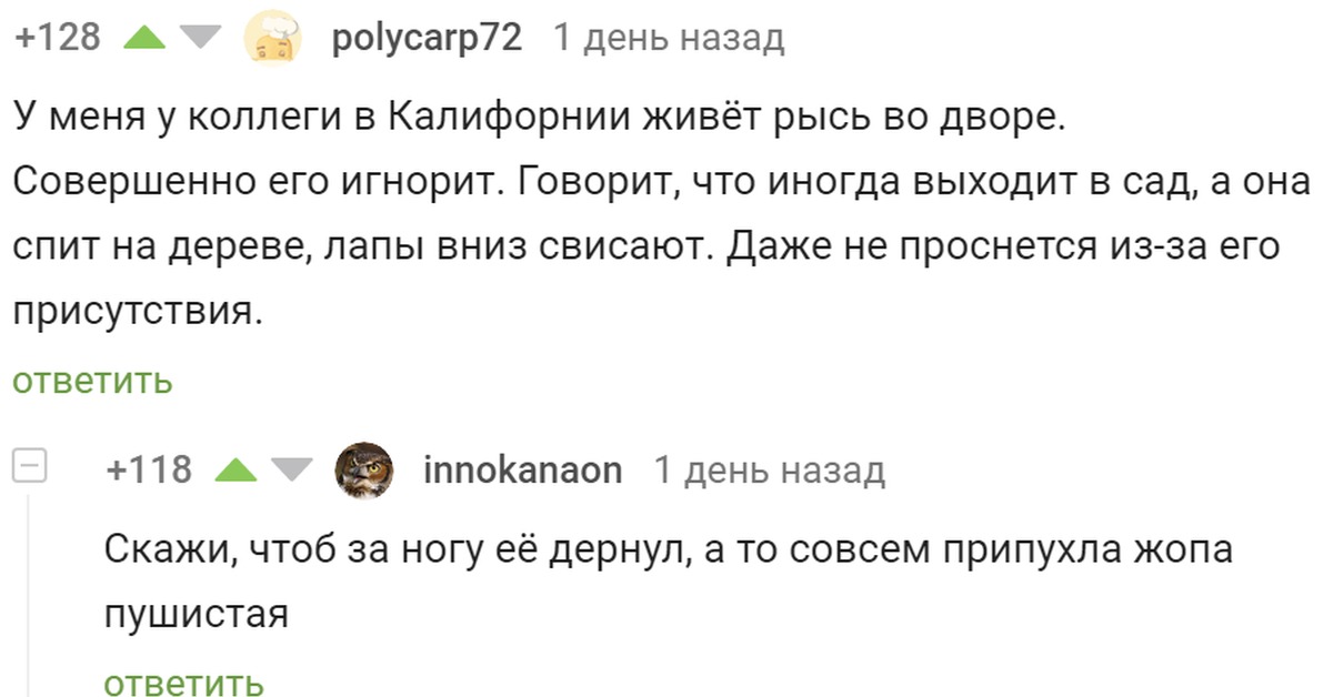 Пикабу наглость