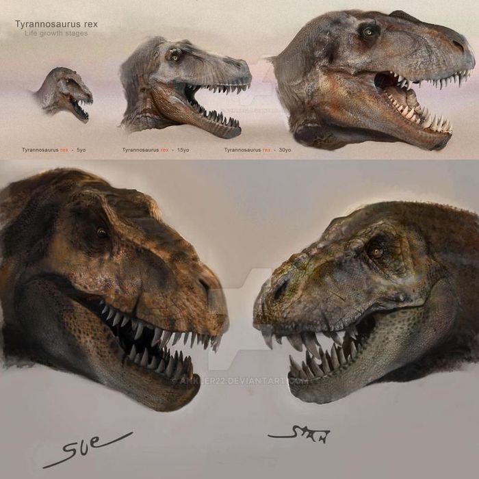 Paleontologiya I Tirannozavr Istorii Iz Zhizni Sovety Novosti Yumor Goryachee Pikabu