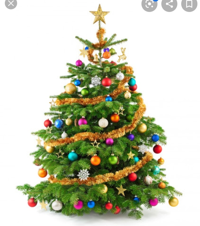 � ���� ������ ���� ���� ������� ����������� ����������?