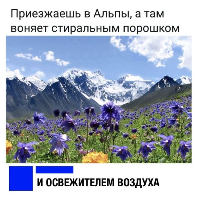 Свежий запах