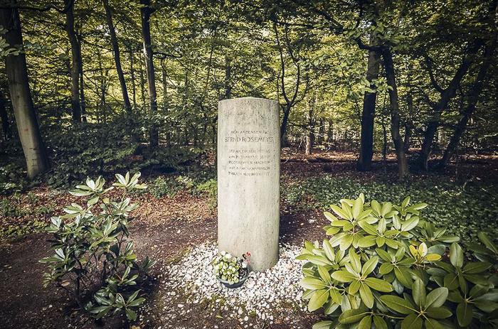 1609068182127821983 mercedes benz почему так называется