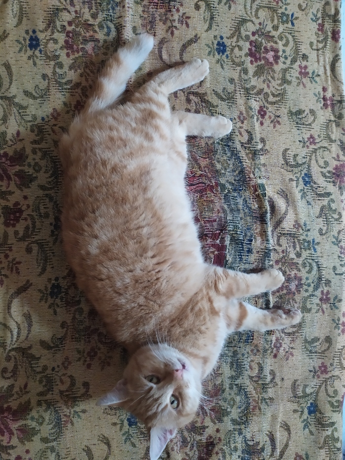 ���������� ������