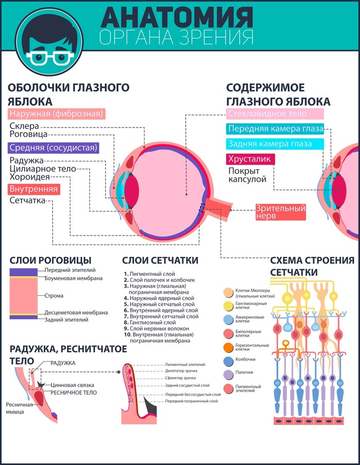 �������� ������ ������