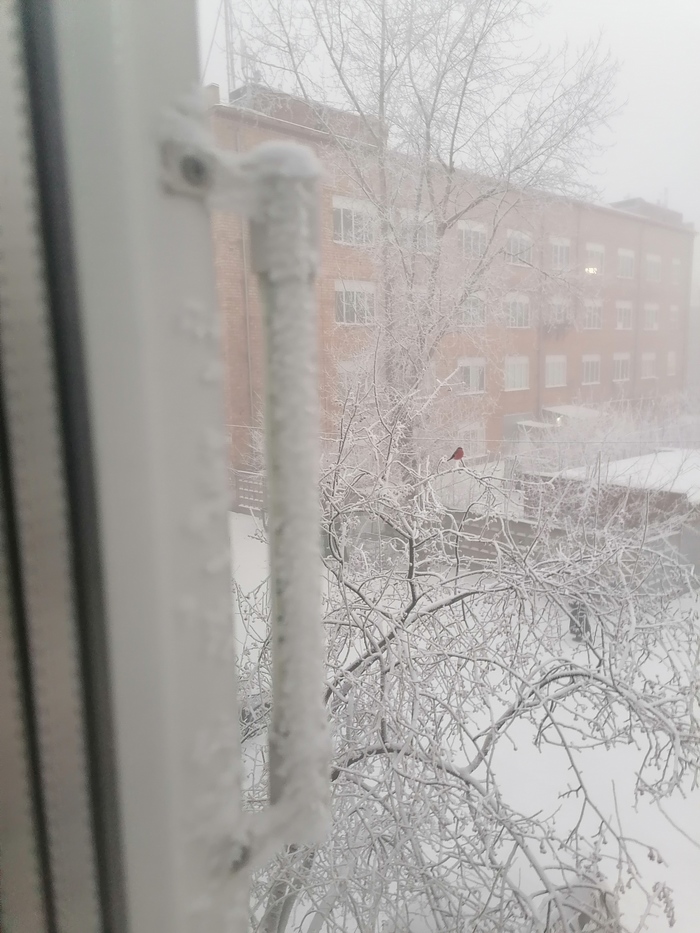 Так-с, сколько там сегодня градусов?