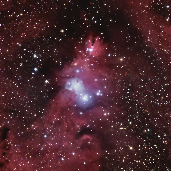 Кластер «Рождественская ёлка» | Пикабу