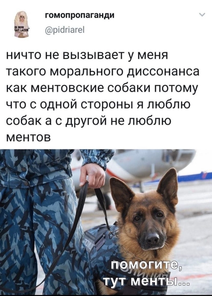 Диссонанс...