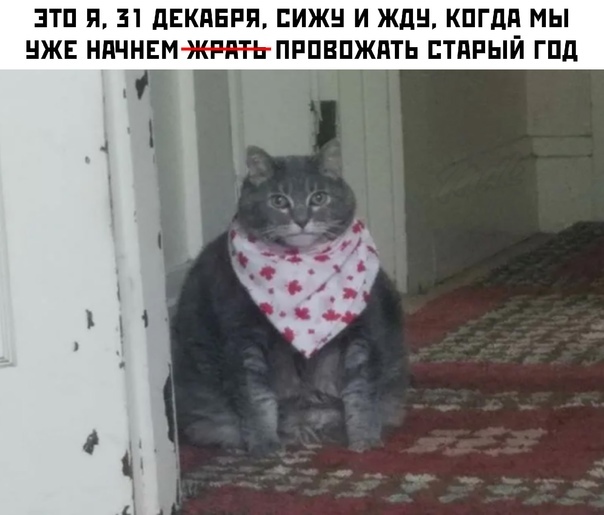 Ждём