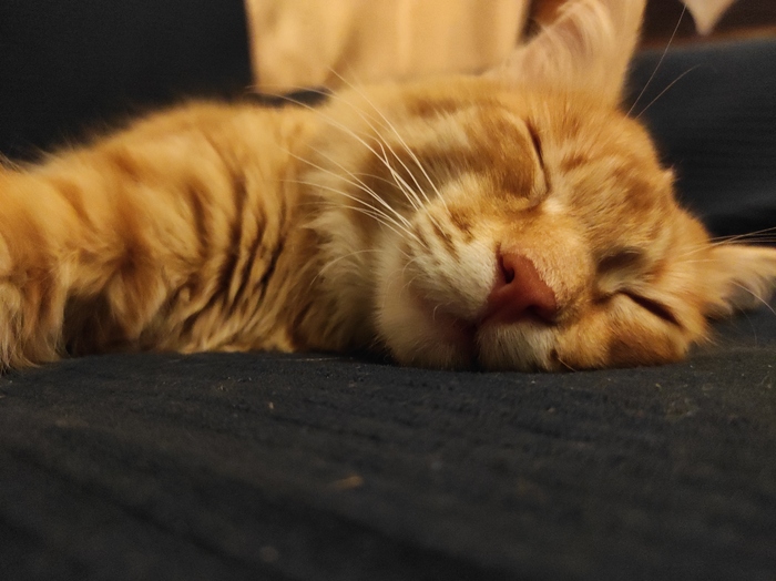 ����� ���...