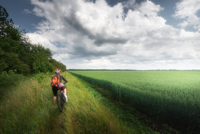  ...     -      2020)