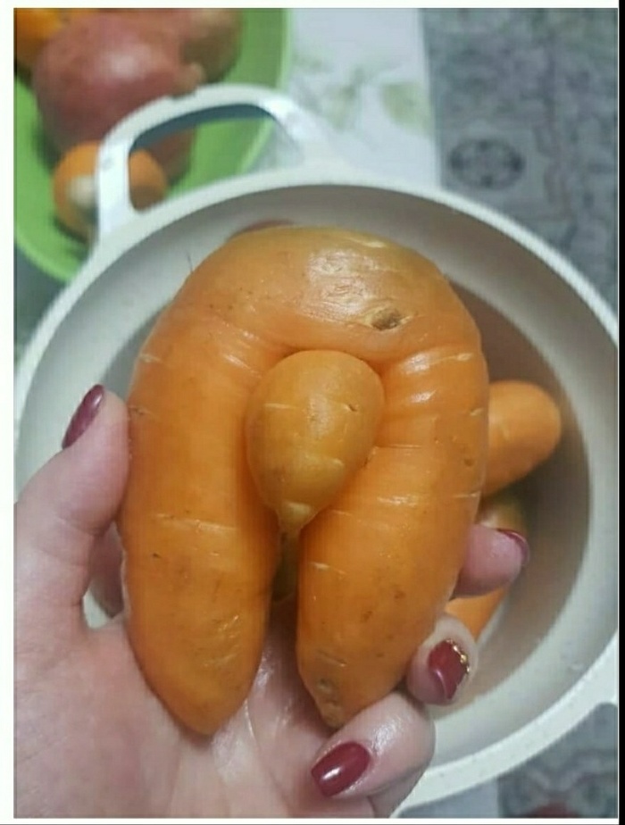 ����� ��� ,����� � ��������...