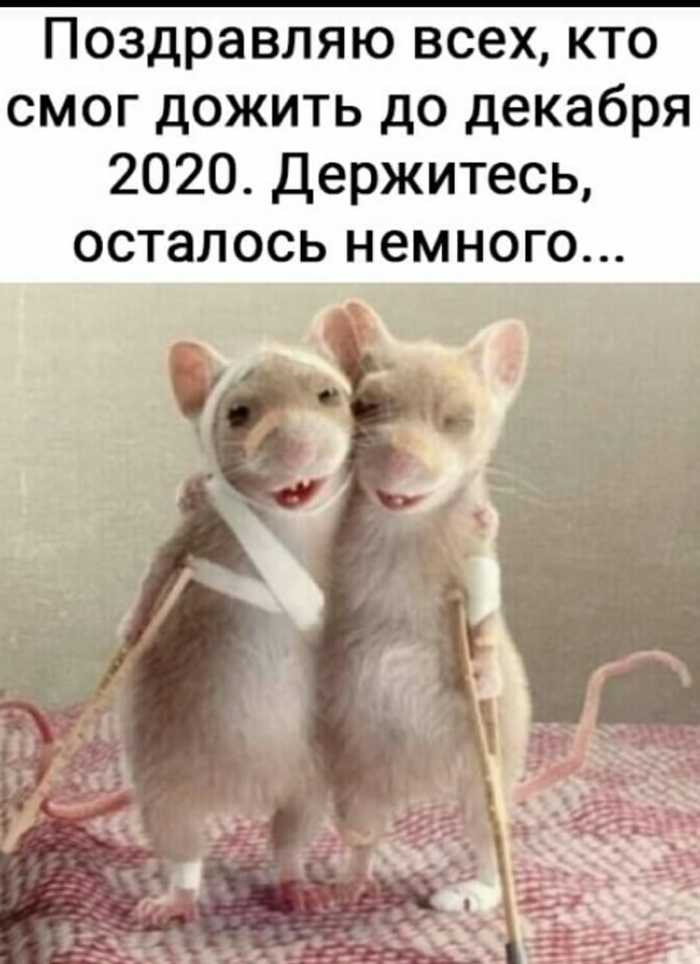    ,  , 2020, 