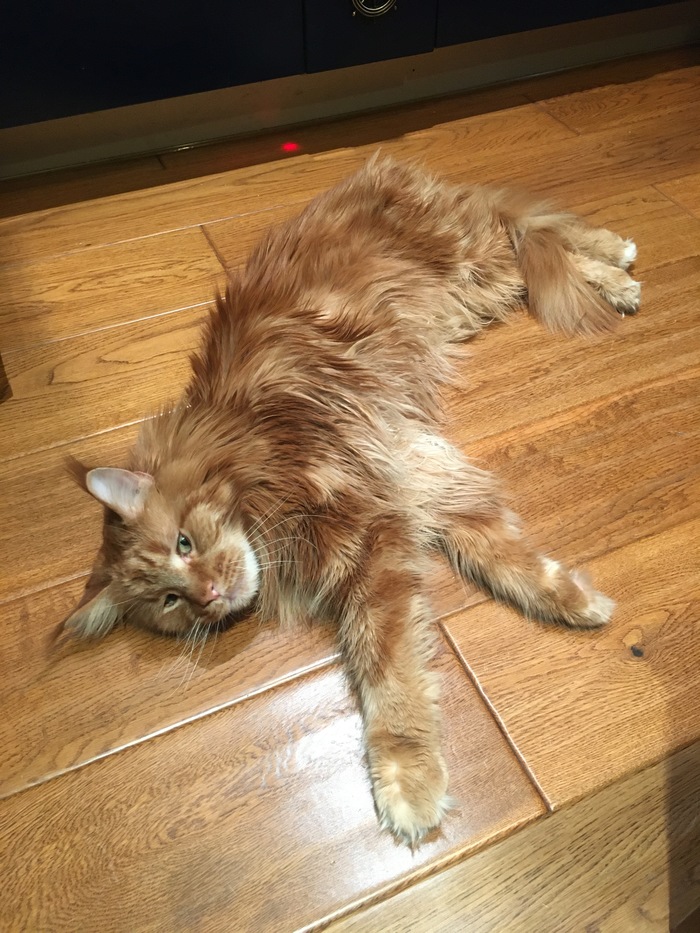 ��� �� �������?