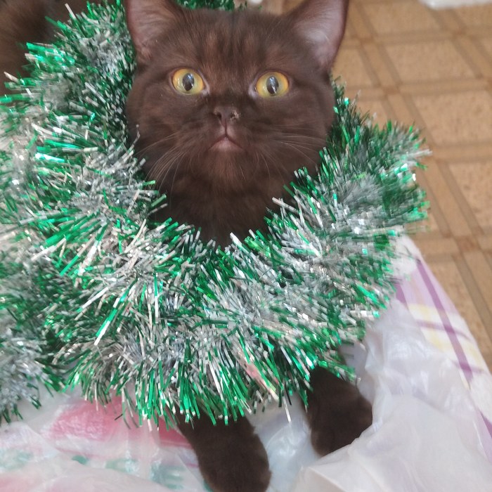 С Новым годом!