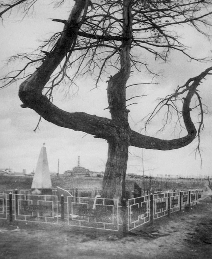 ������ ������