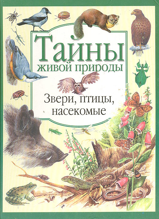 что нужно для куколки бабочки. Смотреть фото что нужно для куколки бабочки. Смотреть картинку что нужно для куколки бабочки. Картинка про что нужно для куколки бабочки. Фото что нужно для куколки бабочки