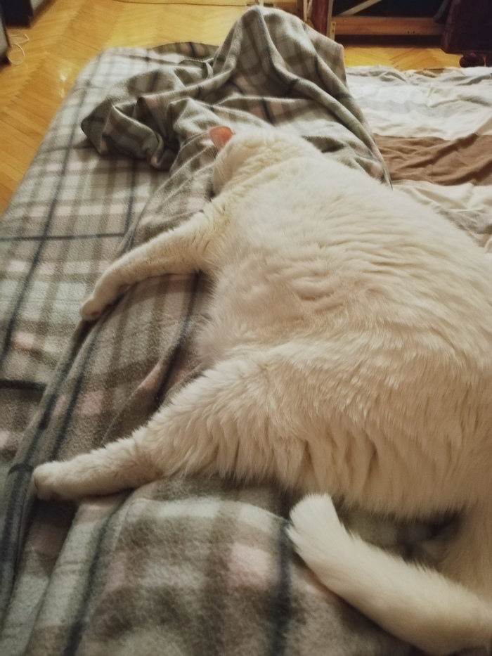 С наступившим!)