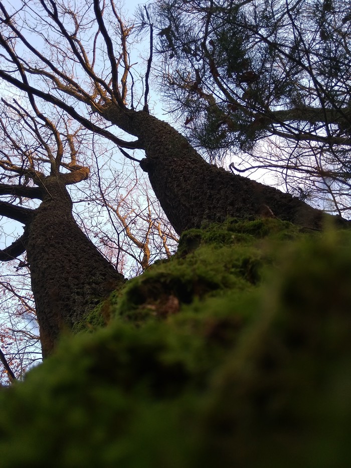 � ���� � ��� �� �������...