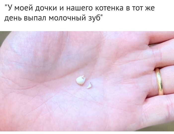 Что было на месте галереи в краснодаре. Смотреть фото Что было на месте галереи в краснодаре. Смотреть картинку Что было на месте галереи в краснодаре. Картинка про Что было на месте галереи в краснодаре. Фото Что было на месте галереи в краснодаре