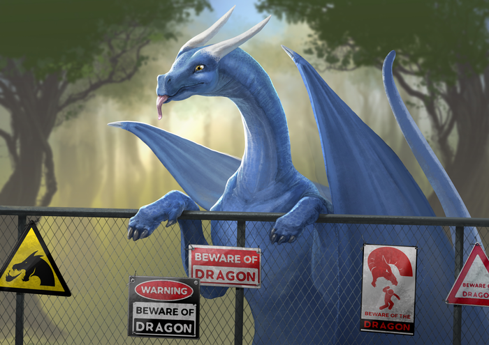 Остерегайся дракона! Или будешь облизан!