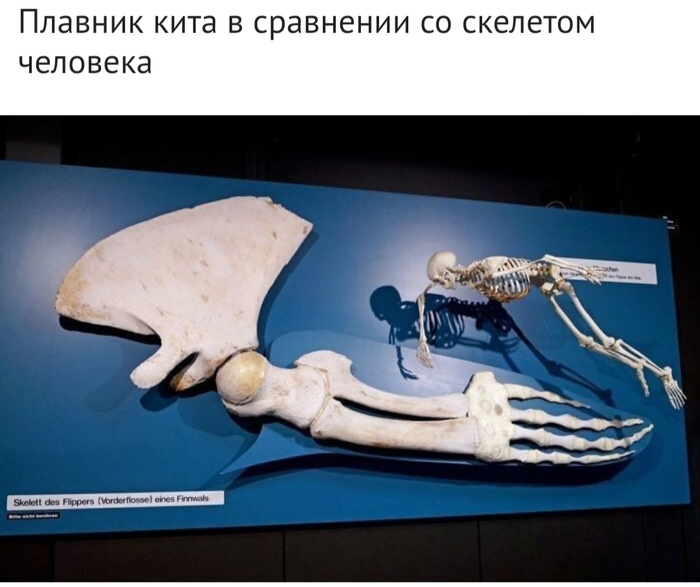 Что было на месте галереи в краснодаре. Смотреть фото Что было на месте галереи в краснодаре. Смотреть картинку Что было на месте галереи в краснодаре. Картинка про Что было на месте галереи в краснодаре. Фото Что было на месте галереи в краснодаре