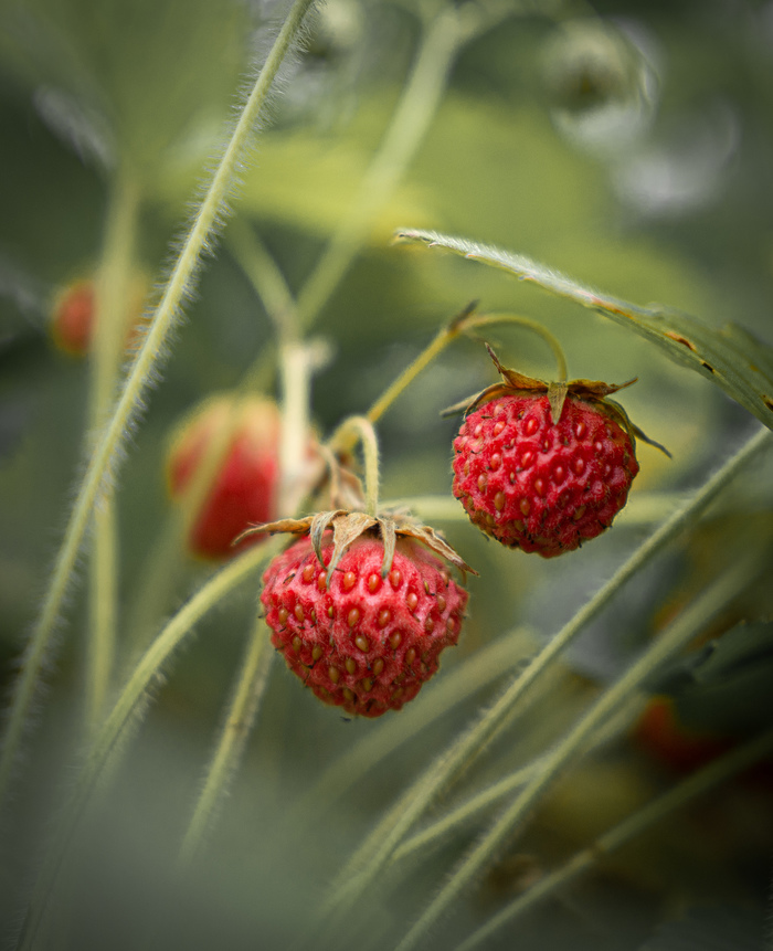 "������� � ���� �����.."