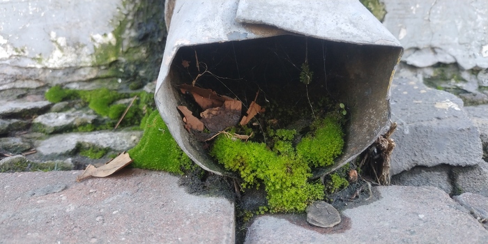 Водосточная труба