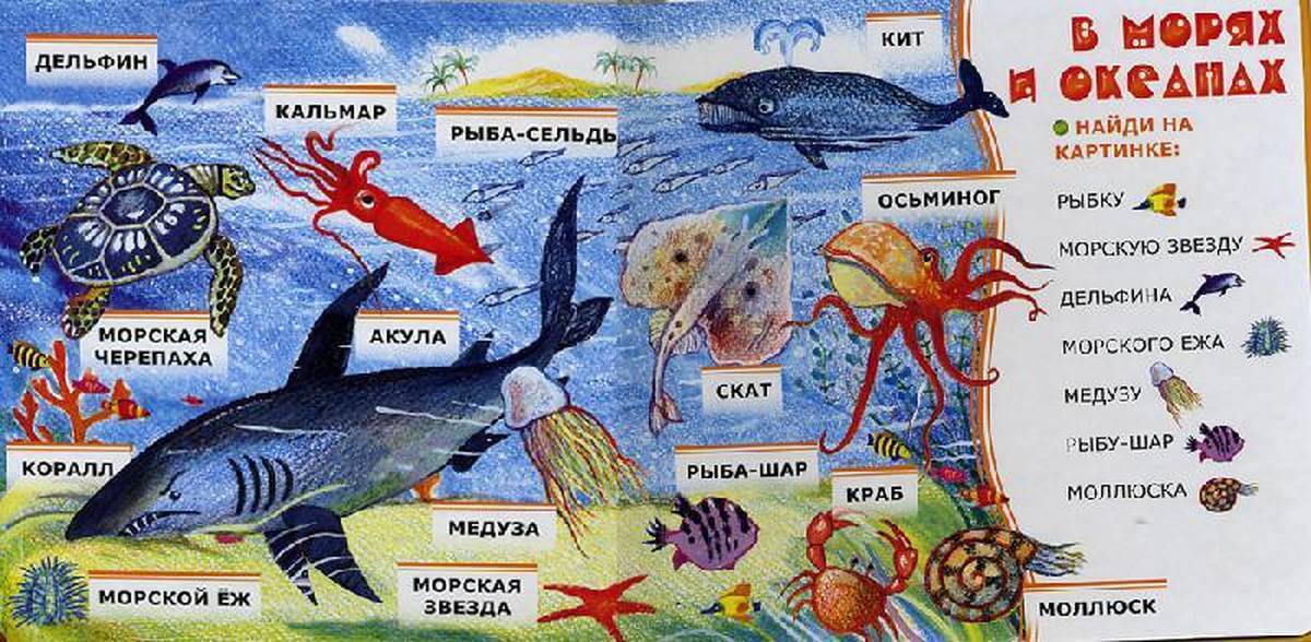 Описание рыбы кита. Рыба кит папа рисует акулу. Рыба кит слова. Рыба-кит папа рисует Чебурашку.