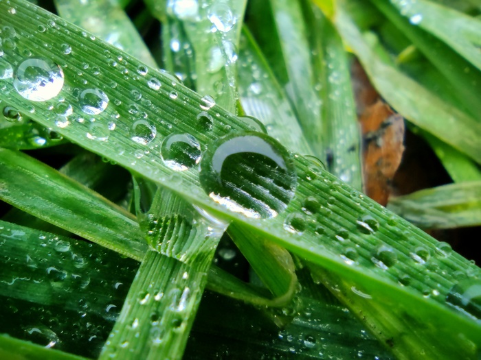Зима без снега тоже прекрасна по-своему