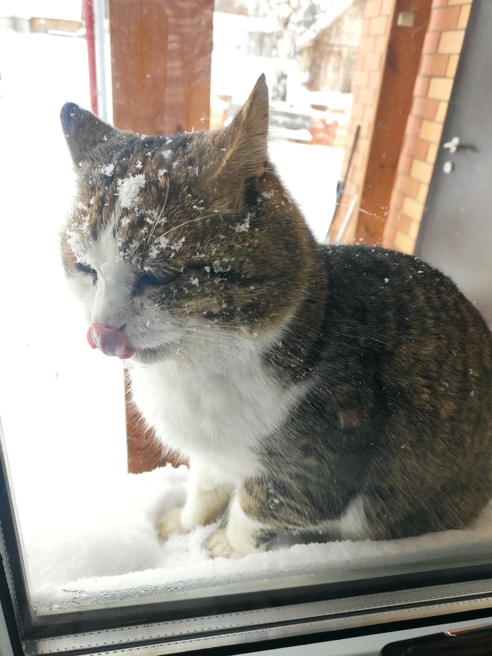 Снежинки тоже вкусные...