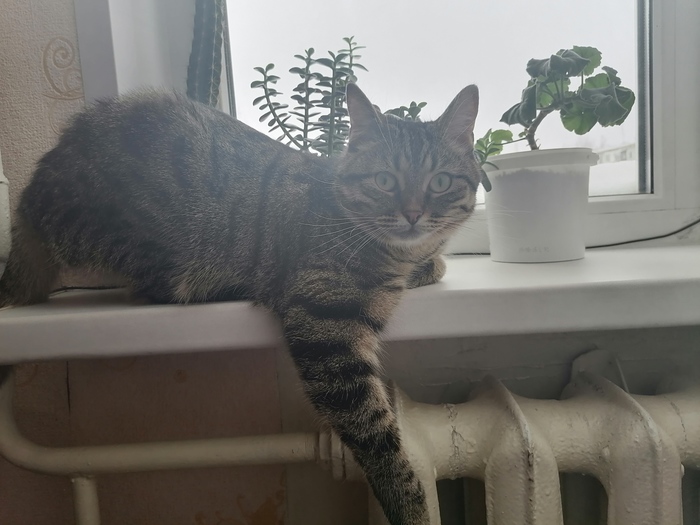 ����� �����