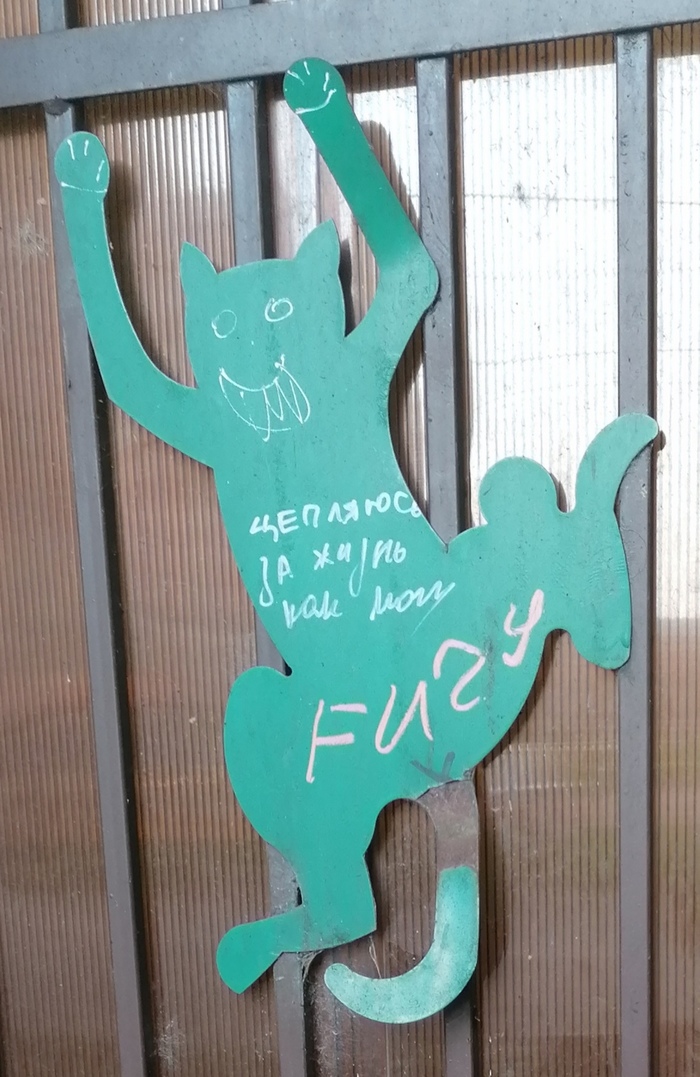 Металлический кот