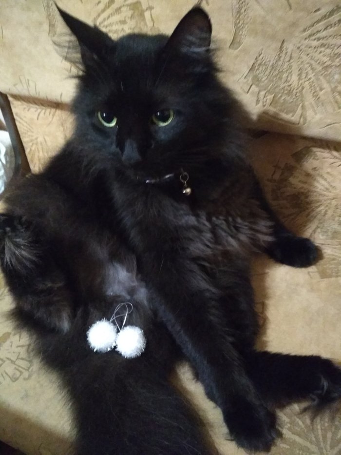 ����������