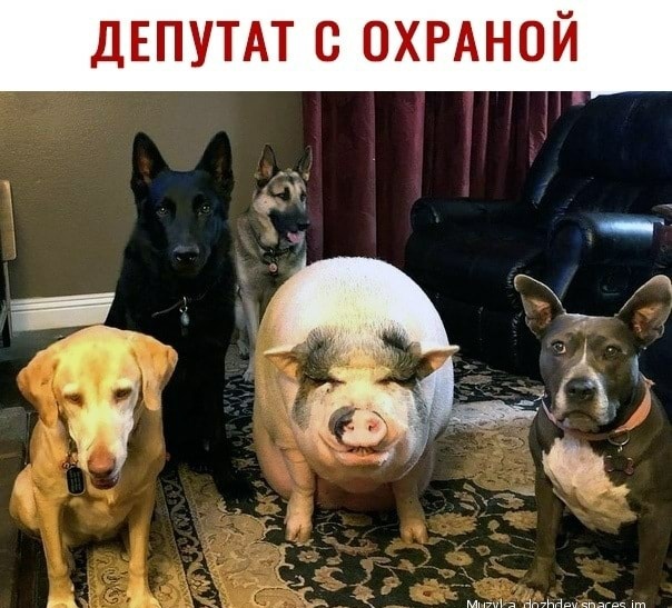 1609928319123422815.jpg