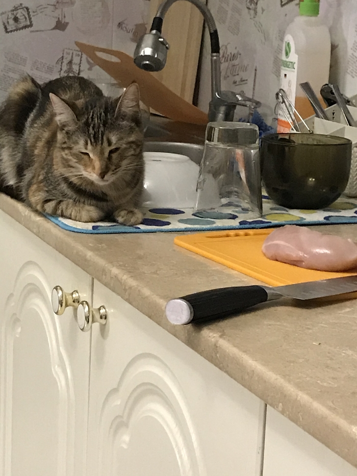 ����� ������ ��� �������� � �� ���