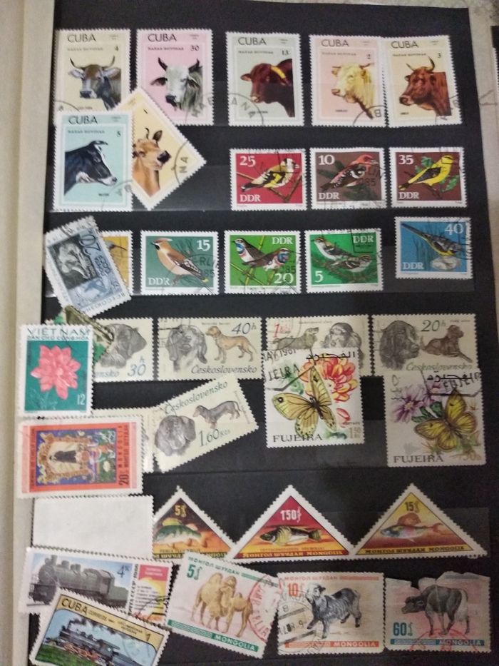 Коллекция в наследство Коллекционирование, Почтовые марки, Длиннопост, Филателия