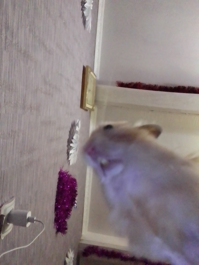 ��� ����� ���� ������ �� ������������: